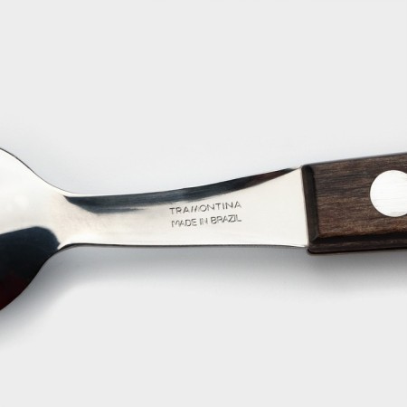 Teaspoon Tramontina Polywood, brown color-2