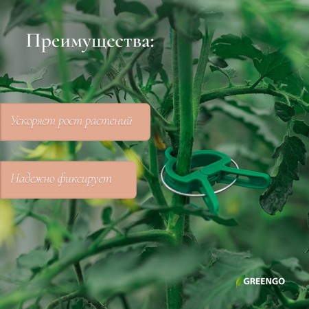 Set for mounting plants: Brongs large (6.5 cm) - 10 pcs., Small clothespins (4.5 cm) - 10 pcs., Greengo-1