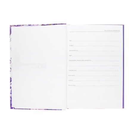 Diary of a low -up A5, 160 sheets in the "Anime. In the rain" line, solid cover, matte lamination, block 60 g/m2-3