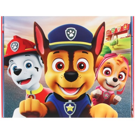 Gift box, folding, 28x21x9 cm, puppy patrol-3