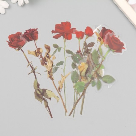 Plastic stickers "Flowers and quotes. Red roses" set 12 pcs 8.5x21.5x0.2 cm