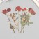 Plastic stickers "Flowers and quotes. Red roses" set 12 pcs 8.5x21.5x0.2 cm