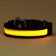 Collar with flash light 3 light modes, size m, Osh 40-48 x 2.5 cm yellow