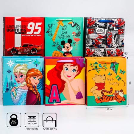 Laminated vertical package, 23 x 27 x 11.5 cm, mix