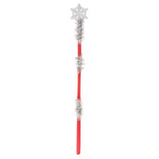 Carnival staff 