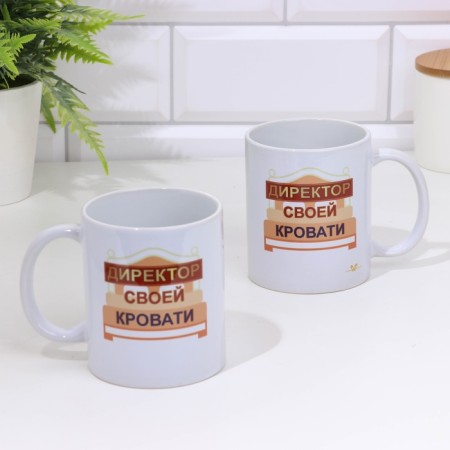 Sublimation "Director of his bed" 320 ml, with application-3