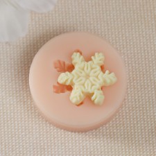 Mold Silicon 