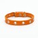 Single-layer leather collar with corrugated eyelets, dimensionless, 40 x 1.5 cm, Osh 27-35 cm, red 70