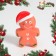 Bruttering Poute toy for dogs, 6.5 x 10 cm