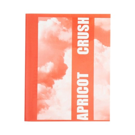 A notebook of 96 sheets in a cage, calligrata "Apricot Crush", cover coated cardboard, twin-lak, offset block, mix-4