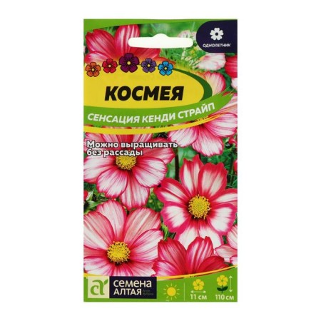 Cosmea Sensation Cosmes Cosmes Kendi Straip, O, CP, 0.5 g-2
