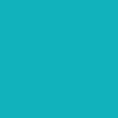 Supra STS-1004, L, up to 32 kg, green suitcase-13