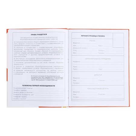 Diary for grades 1-4, hard cover "Fluffy cats", glossy lamination, block 60g/m²-4