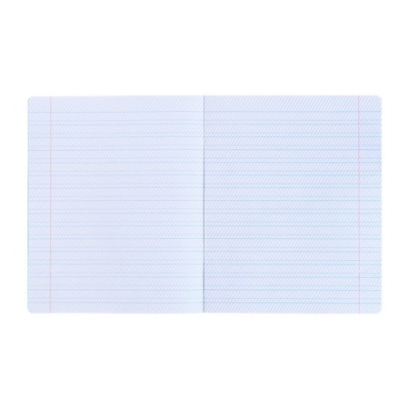Notebook 12 sheets Frequent braid "Green Cover", 60g/m2 (prescriptions)-2