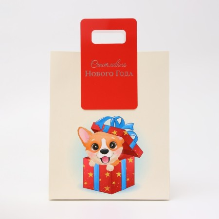 New Year. Gift package with a trim “Best Gift” 18 x 23 x 9 cm.-1