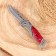 Folding "Pescar" 16.3cm, blade 70mm/1mm blade