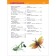 Encyclopedia for kindergarten "insects"