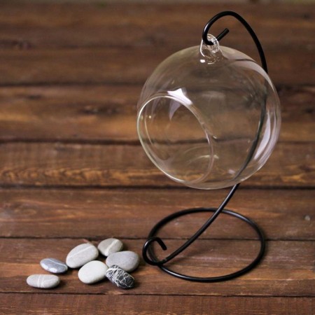 Florarium "Sphere" on the suspension, D Up-I 6 cm 23x13x11 cm