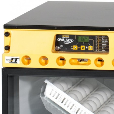 Incubator, 96 eggs, automatic revolution, 220 V, with pomp, OVA-EASY Advance-3