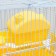 A cage for rodents "Pigger", equipped, 27 x 21 x 26 cm, yellow