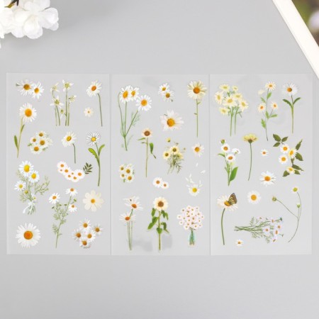 Stickers plastic "chamomile" set of 6 sheets 10x18 cm-1