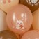 Charlatex 12 "Tender animals", pastel, 2 tbsp., Set 25 pcs., Mix