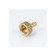 Adapter Aquasfera 9101-15, d = 25 mm x 1 ", internal thread, brass