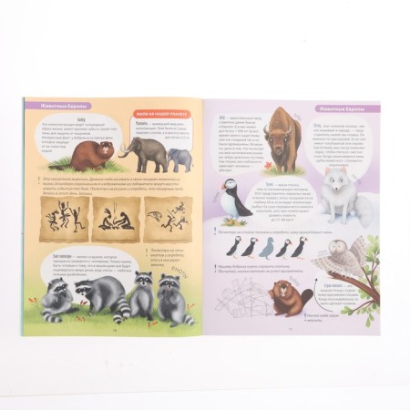 Activati-Atlas with stickers "Animals"-5