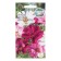 Cosmea Flowers "Montmartra Paints", 0.07 g