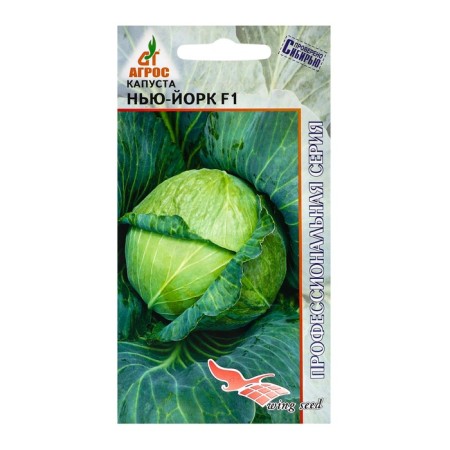 Cabbage Cabbage seeds "New York" F1 15pcs*