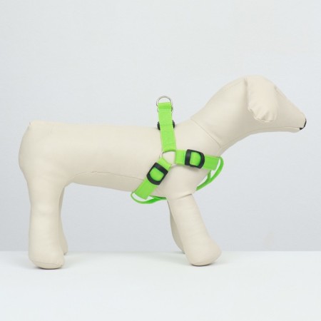 Shleka luminous size l, sling 2.5 cm, og 43-60 cm, 3 glow modes, green-2