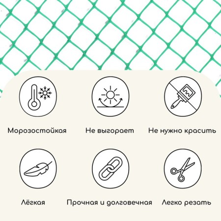 Garden grid, 2 × 20 m, cell 25 × 25 mm, plastic, green, Greengo-4