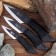 Set of throwing knives "Scorpio", in a braid, 3 pcs., Black