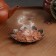 Focus powder "Agar tree", 100 g