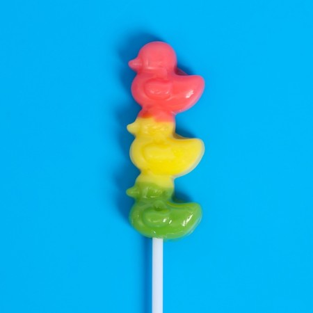 Caramel on the stick "Lolly duck", 15 g-2