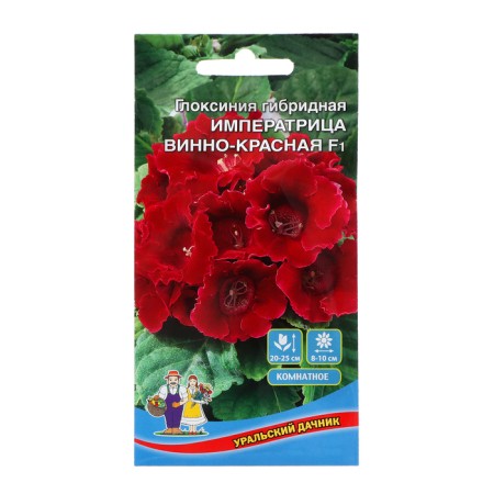 Gloxinia flowers hybrid “Empress”, wine-red, 5 pcs,