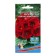 Gloxinia flowers hybrid “Empress”, wine-red, 5 pcs,