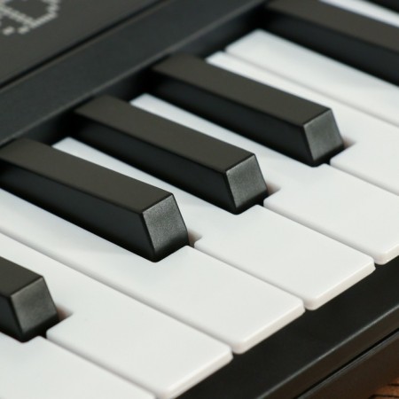 Terris TK-100 synthesizer, 37 mini keys, 8 timbres, black-2