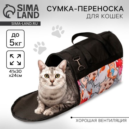 Bag - carrying “there are no cats”, 41x30x24 cm