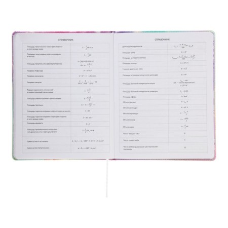Universal diary for grade 1-11 Girl, solid cover, artificial leather, silk-screen printing, lies, 80 g/m2-9