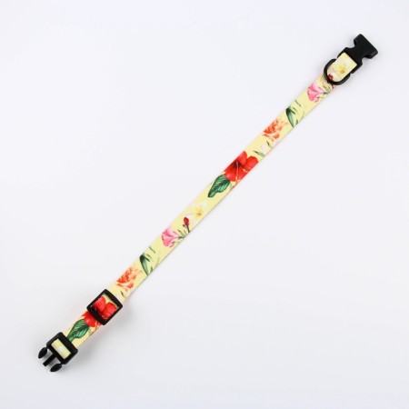 Set "Flowers", fastener - fastx, leash 2 m and collar 28-46 cm-6