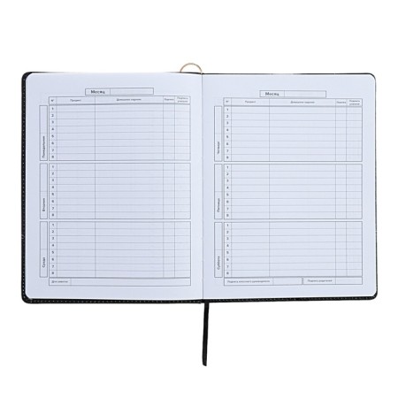 Universal Diary Grade 1-11, 48 sheets "Princess-ballerina", solid cover of artificial leather, lies, universal cheat sheet, block 80 g/m2-10