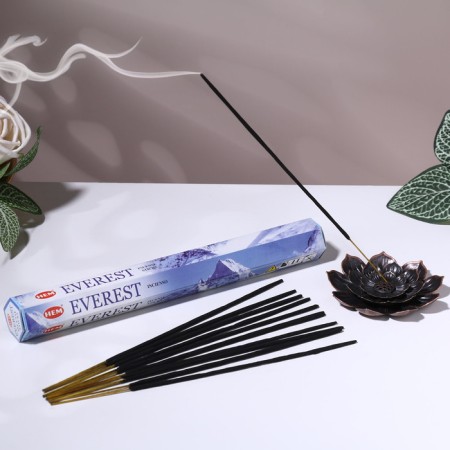 Incense HEM "EVEREST. Everest", 20 wands in packaging, hexagon