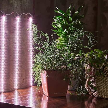 Lamp for plants LED linear, 600 mm Uniel, 90 W, LED, IP65, Color transparent-4