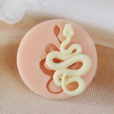 Mold Silicon 
