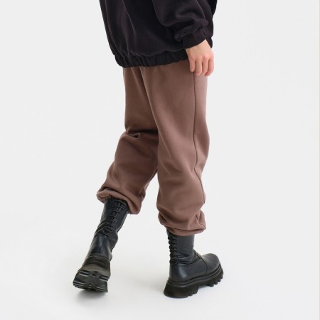 Women's pants, coffee color, size 44-4