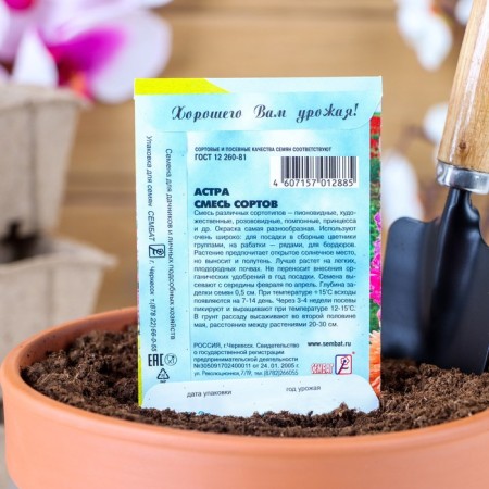 Astra flowers, a mixture of varieties, 0.2 g-1