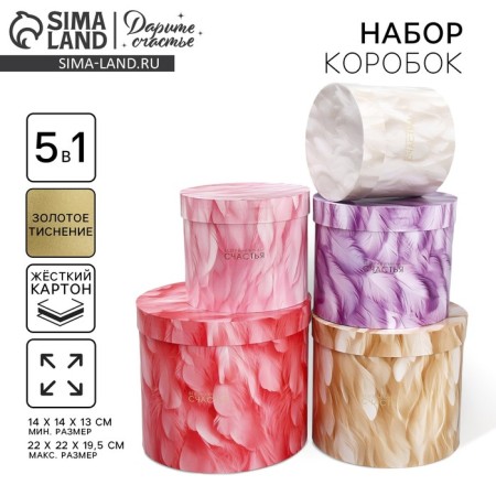 Set of hats 5 in 1, gift packaging, “feathers”, 13 x 14 - 19.5 x 22 cm