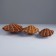 A set of caskets "shells", 3 pcs, in an open form 49 × 26 × 6, 45 × 24 × 5, 42 × 21 × 4 cm, rattan
