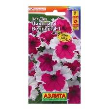 Petunia Picotia Velvet F1 multi -flowered ONE (dragee in a test tube) villages. Farao c/n 7 pcs